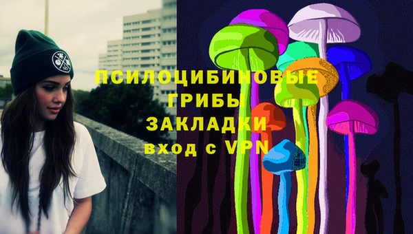 стаф Белоозёрский