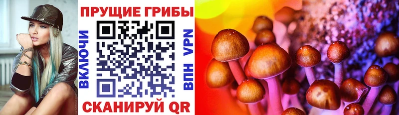 Купить закладки Судогда Псилоцибиновые грибы ЛСД